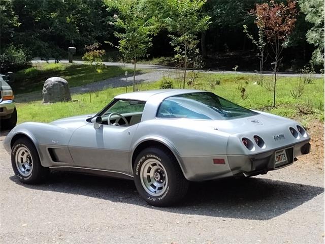 1978 Chevrolet Corvette (CC-2096350) for sale in Palmetto, Florida