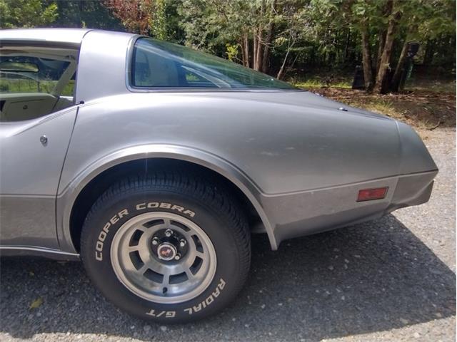 1978 Chevrolet Corvette (CC-2096350) for sale in Palmetto, Florida