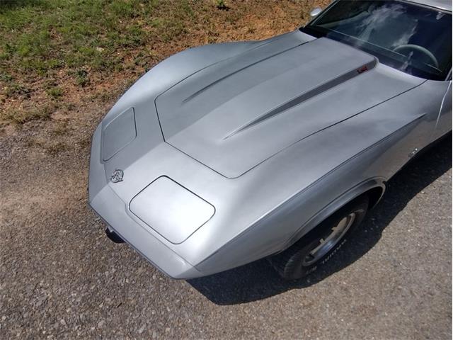 1978 Chevrolet Corvette (CC-2096350) for sale in Palmetto, Florida