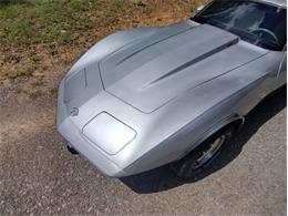 1978 Chevrolet Corvette (CC-2096350) for sale in Palmetto, Florida