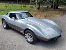 1978 Chevrolet Corvette (CC-2096350) for sale in Palmetto, Florida