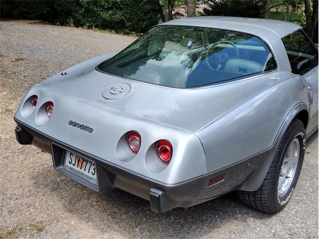 1978 Chevrolet Corvette (CC-2096350) for sale in Palmetto, Florida