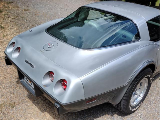 1978 Chevrolet Corvette (CC-2096350) for sale in Palmetto, Florida