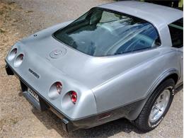 1978 Chevrolet Corvette (CC-2096350) for sale in Palmetto, Florida