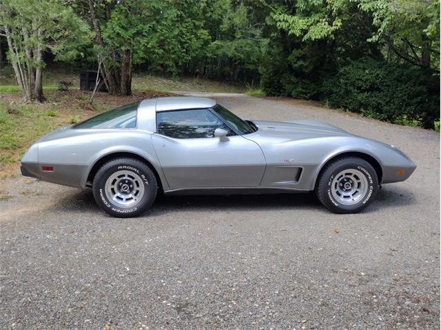 1978 Chevrolet Corvette (CC-2096350) for sale in Palmetto, Florida