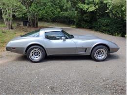 1978 Chevrolet Corvette (CC-2096350) for sale in Palmetto, Florida