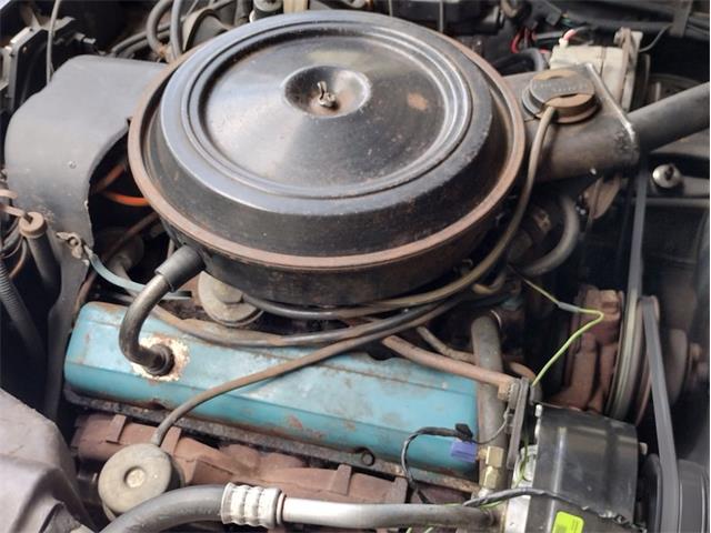 1978 Chevrolet Corvette (CC-2096350) for sale in Palmetto, Florida