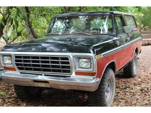 1979 Ford Bronco (CC-2096355) for sale in Cadillac, Michigan