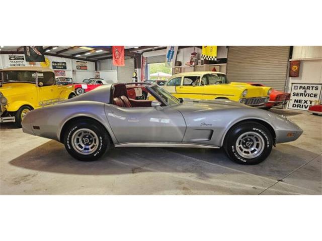 1976 Chevrolet Corvette (CC-2096363) for sale in Cadillac, Michigan
