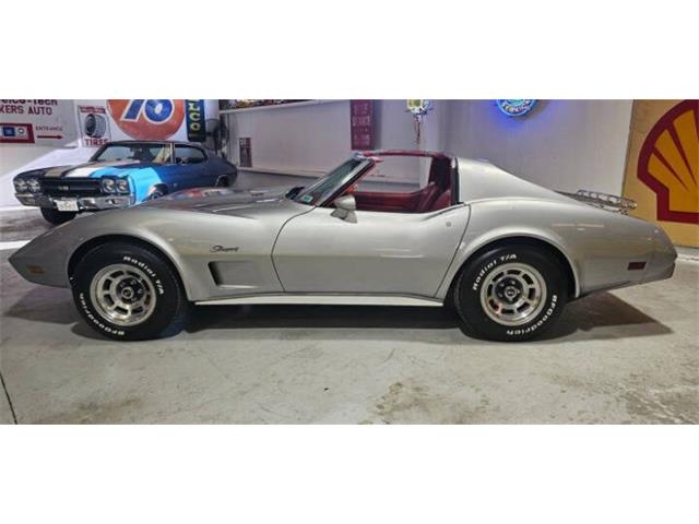 1976 Chevrolet Corvette (CC-2096363) for sale in Cadillac, Michigan