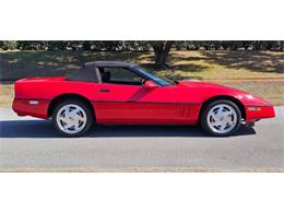 1989 Chevrolet Corvette (CC-2096366) for sale in Cadillac, Michigan