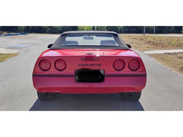 1989 Chevrolet Corvette (CC-2096366) for sale in Cadillac, Michigan