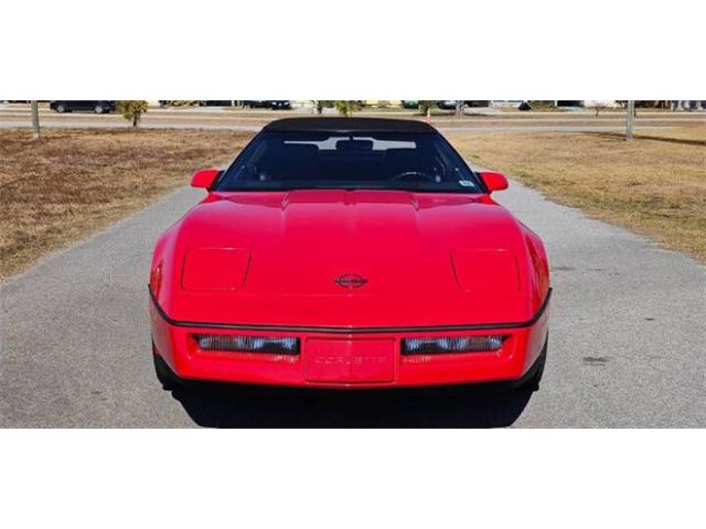 1989 Chevrolet Corvette (CC-2096366) for sale in Cadillac, Michigan