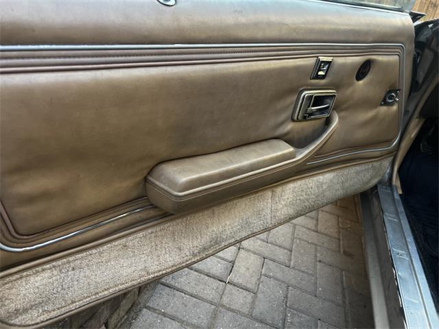1981 Pontiac Firebird Trans Am (CC-2096368) for sale in Reno, Nevada