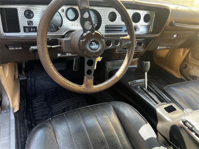 1981 Pontiac Firebird Trans Am (CC-2096368) for sale in Reno, Nevada