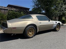1981 Pontiac Firebird Trans Am (CC-2096368) for sale in Reno, Nevada