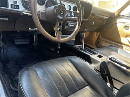 1981 Pontiac Firebird Trans Am (CC-2096368) for sale in Reno, Nevada
