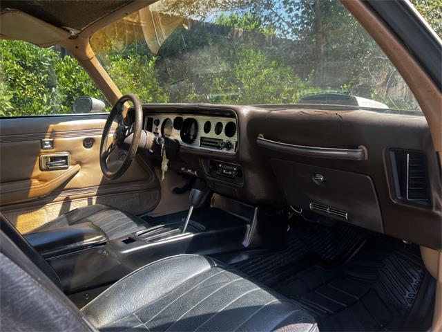 1981 Pontiac Firebird Trans Am (CC-2096368) for sale in Reno, Nevada