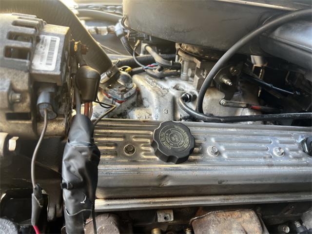 1981 Pontiac Firebird Trans Am (CC-2096368) for sale in Reno, Nevada