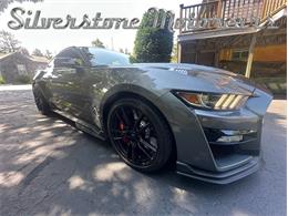 2021 Shelby GT500 (CC-2096389) for sale in North Andover, Massachusetts
