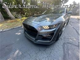 2021 Shelby GT500 (CC-2096389) for sale in North Andover, Massachusetts