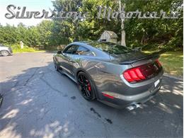 2021 Shelby GT500 (CC-2096389) for sale in North Andover, Massachusetts