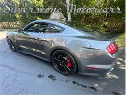 2021 Shelby GT500 (CC-2096389) for sale in North Andover, Massachusetts