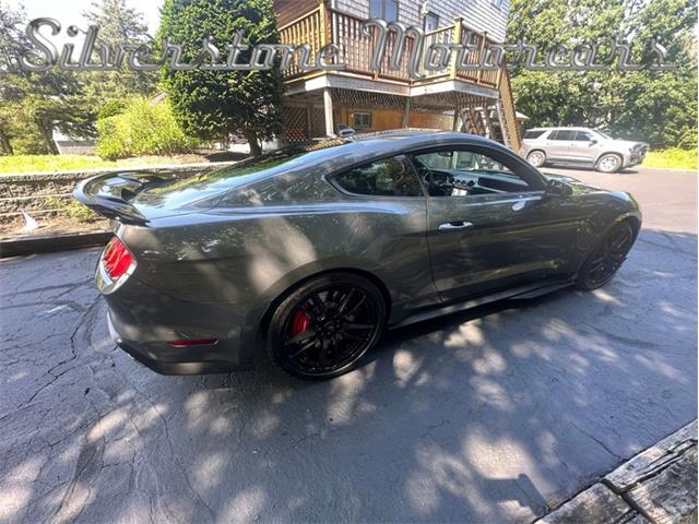 2021 Shelby GT500 (CC-2096389) for sale in North Andover, Massachusetts
