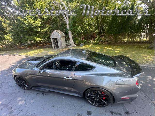 2021 Shelby GT500 (CC-2096389) for sale in North Andover, Massachusetts