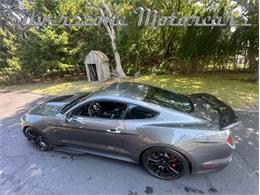 2021 Shelby GT500 (CC-2096389) for sale in North Andover, Massachusetts