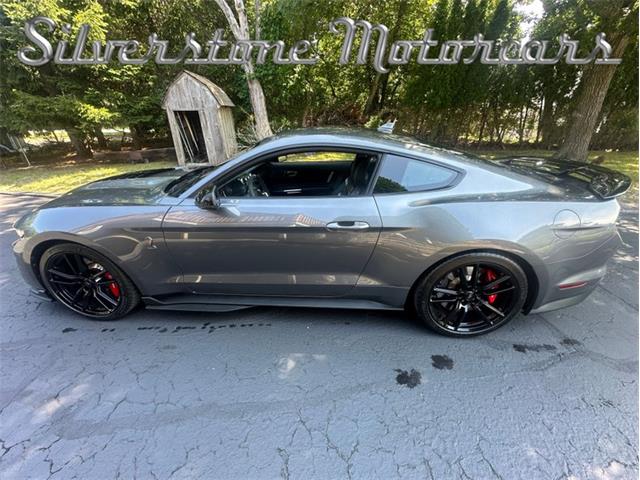 2021 Shelby GT500 (CC-2096389) for sale in North Andover, Massachusetts