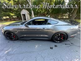 2021 Shelby GT500 (CC-2096389) for sale in North Andover, Massachusetts