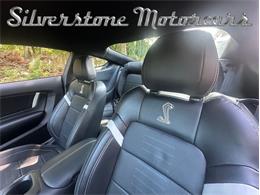 2021 Shelby GT500 (CC-2096389) for sale in North Andover, Massachusetts
