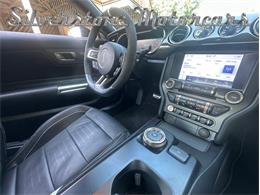 2021 Shelby GT500 (CC-2096389) for sale in North Andover, Massachusetts
