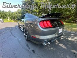 2021 Shelby GT500 (CC-2096389) for sale in North Andover, Massachusetts