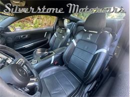 2021 Shelby GT500 (CC-2096389) for sale in North Andover, Massachusetts
