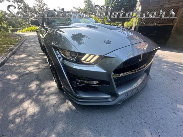 2021 Shelby GT500 (CC-2096389) for sale in North Andover, Massachusetts
