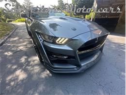 2021 Shelby GT500 (CC-2096389) for sale in North Andover, Massachusetts
