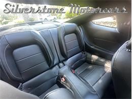 2021 Shelby GT500 (CC-2096389) for sale in North Andover, Massachusetts