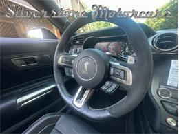 2021 Shelby GT500 (CC-2096389) for sale in North Andover, Massachusetts