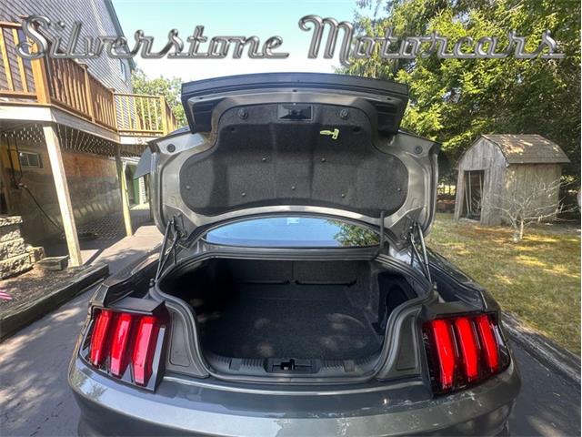 2021 Shelby GT500 (CC-2096389) for sale in North Andover, Massachusetts