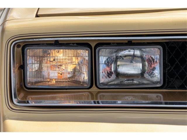 1978 Pontiac Firebird Trans Am (CC-2096391) for sale in Reno, Nevada