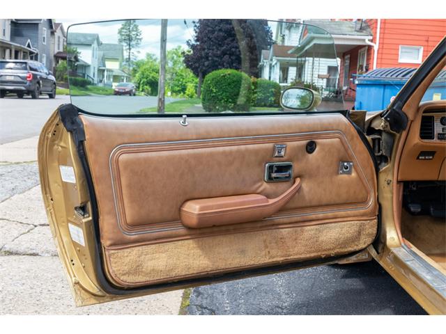 1978 Pontiac Firebird Trans Am (CC-2096391) for sale in Reno, Nevada