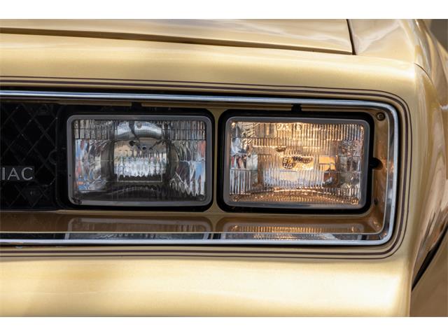 1978 Pontiac Firebird Trans Am (CC-2096391) for sale in Reno, Nevada