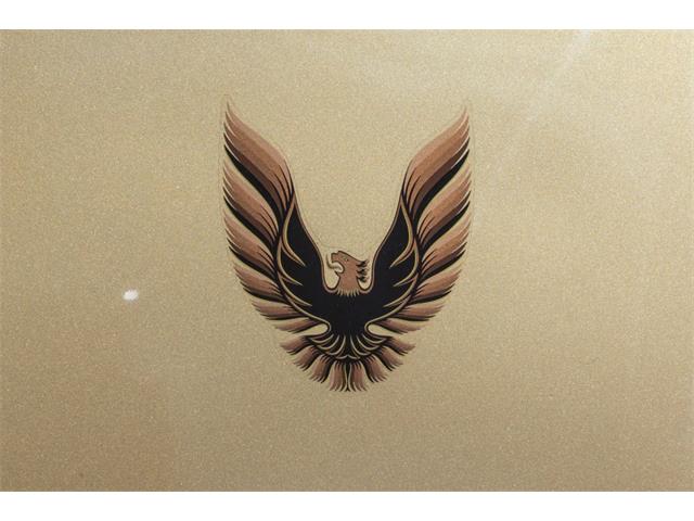 1978 Pontiac Firebird Trans Am (CC-2096391) for sale in Reno, Nevada