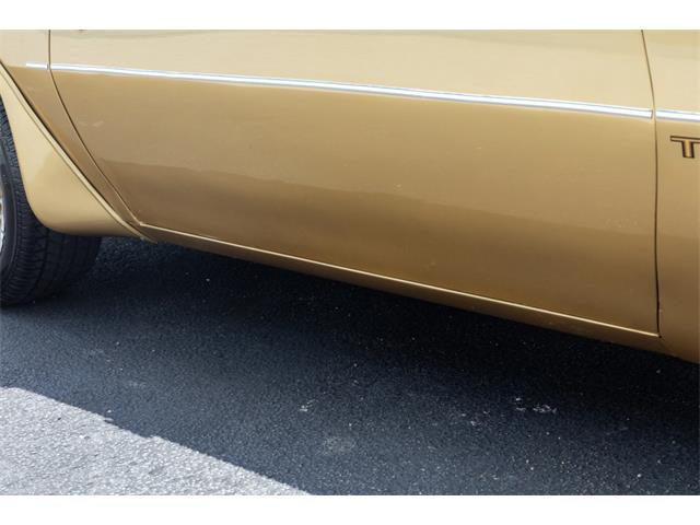 1978 Pontiac Firebird Trans Am (CC-2096391) for sale in Reno, Nevada