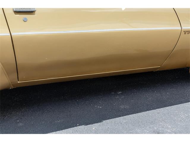 1978 Pontiac Firebird Trans Am (CC-2096391) for sale in Reno, Nevada