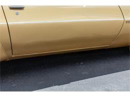 1978 Pontiac Firebird Trans Am (CC-2096391) for sale in Reno, Nevada