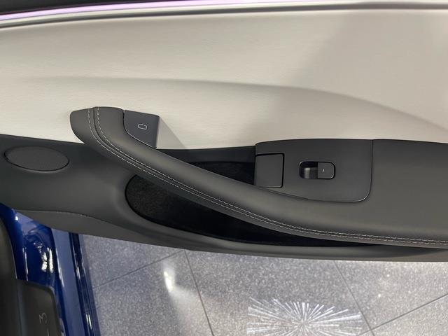2025 Tesla Model 3 (CC-2096431) for sale in Jacksonville, Florida