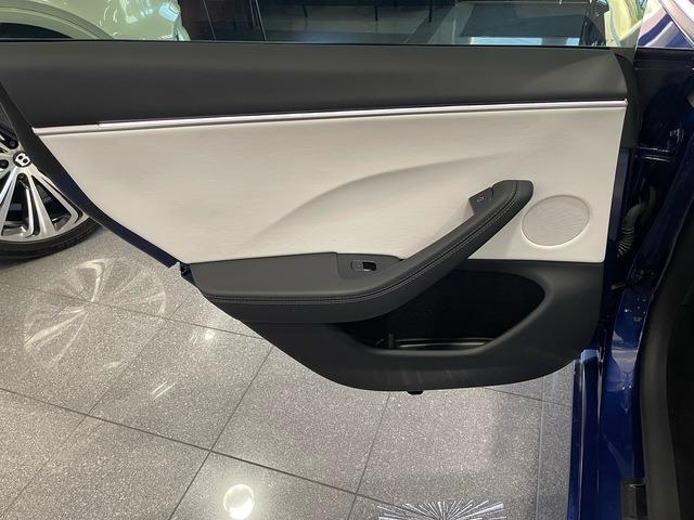 2025 Tesla Model 3 (CC-2096431) for sale in Jacksonville, Florida